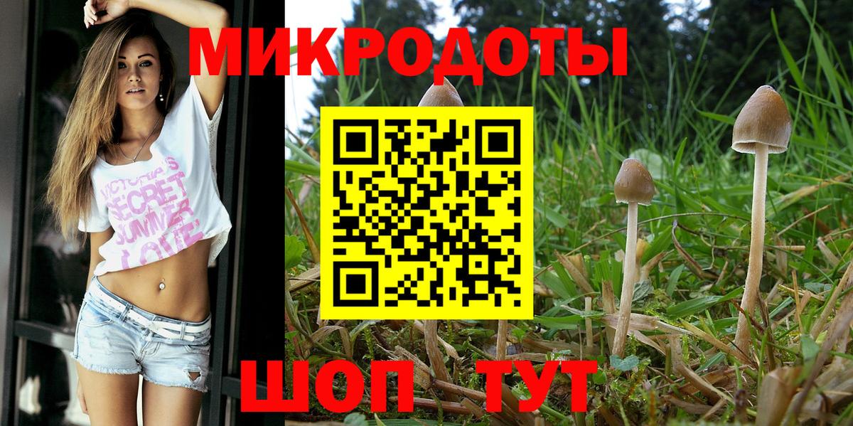 Галлюциногенные грибы мицелий  Псилоцибиновые грибы мицелий  Вход с VPN  купить наркотик  Медногорск 