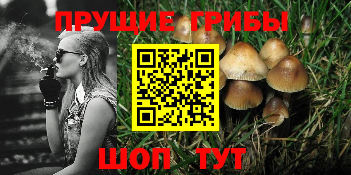 Галлюциногенные грибы Magic Shrooms Медногорск